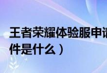 王者荣耀体验服申请（王者荣耀体验服申请条件是什么）