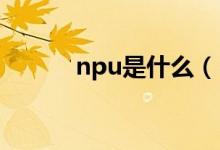 npu是什么（NPU有什么作用）