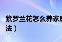 紫罗兰花怎么养家庭养法（紫罗兰花的养殖方法）