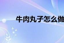牛肉丸子怎么做（牛肉丸子的做法）