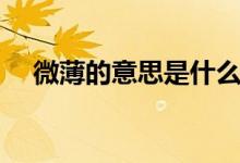 微薄的意思是什么（词语微薄什么意思）