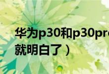 华为p30和p30pro区别在哪（看完这7点你就明白了）