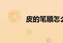 皮的笔顺怎么写（皮的解释）