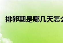 排卵期是哪几天怎么算（排卵期计算方法）