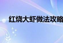 红烧大虾做法攻略（做红烧大虾的教程）