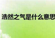 浩然之气是什么意思（浩然之气意思是什么）