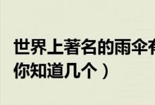 世界上著名的雨伞有哪些（世界十大顶级雨伞你知道几个）