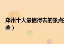 郑州十大最值得去的景点排行榜（郑州旅游必去的地方有哪些）