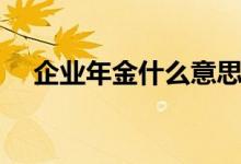 企业年金什么意思（企业年金是指什么）