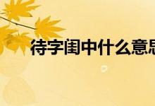 待字闺中什么意思（待字闺中的含义）