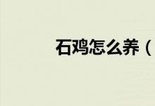石鸡怎么养（关于石鸡怎么养）