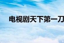 电视剧天下第一刀演员表（讲的是什么）