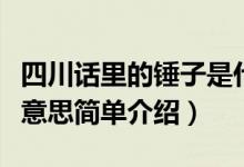 四川话里的锤子是什么意思（四川话里的锤子意思简单介绍）