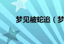 梦见被蛇追（梦见被蛇追梦境解析）