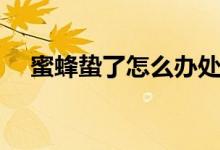 蜜蜂蛰了怎么办处理（蜜蜂蛰了怎么办）