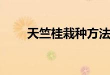 天竺桂栽种方法（天竺桂如何养殖）