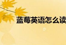 蓝莓英语怎么读（蓝莓英语如何读）