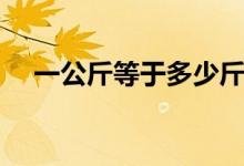 一公斤等于多少斤（是怎么进行换算的）