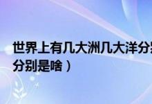 世界上有几大洲几大洋分别是什么（世界上有几大洲几大洋分别是啥）