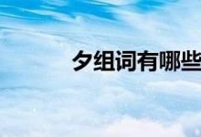 夕组词有哪些词语（夕的意思）