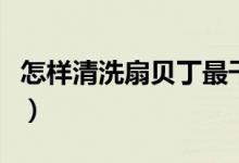 怎样清洗扇贝丁最干净（如何清洗扇贝更干净）