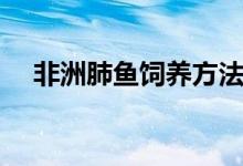 非洲肺鱼饲养方法（需要注意一些方法）