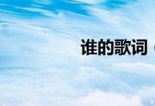 谁的歌词（谁歌曲简介）