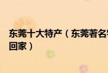 东莞十大特产（东莞著名特产排行榜东莞有什么特产值得带回家）