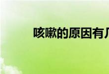 咳嗽的原因有几种（咳嗽的原因）