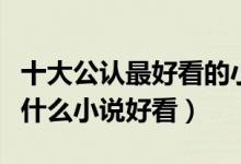 十大公认最好看的小说（值得推荐好看的小说什么小说好看）