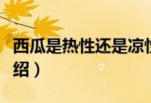 西瓜是热性还是凉性（西瓜是热性还是凉性介绍）