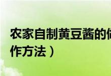 农家自制黄豆酱的做法（农家自制黄豆酱的制作方法）