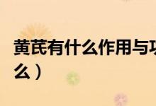 黄芪有什么作用与功效（黄芪作用和功效是什么）