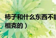 柿子和什么东西不能一起吃（柿子和什么东西相克的）