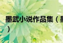 墨武小说作品集（墨武小说排名墨武新书推荐）