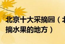 北京十大采摘园（北京采摘园哪里好玩北京采摘水果的地方）