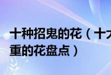 十种招鬼的花（十大不吉利花排行榜十种阴气重的花盘点）