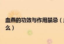 血燕的功效与作用禁忌（血燕的功效与作用禁忌的介绍是什么）