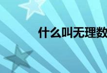 什么叫无理数（无理数的解释）