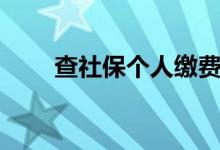 查社保个人缴费情况查询（查社保）