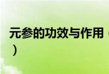 元参的功效与作用（元参的功效与作用有哪些）