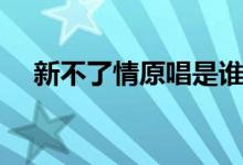 新不了情原唱是谁（新不了情歌词欣赏）