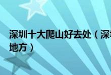 深圳十大爬山好去处（深圳爬山地点有哪些深圳适合登山的地方）
