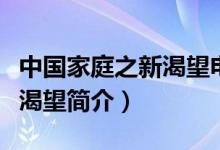中国家庭之新渴望电视剧剧情（中国家庭之新渴望简介）