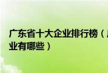 广东省十大企业排行榜（广东省龙头企业排名广东知名大企业有哪些）