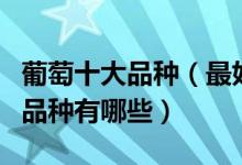 葡萄十大品种（最好吃的葡萄种类排名葡萄的品种有哪些）