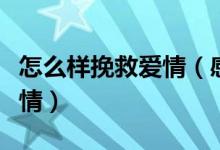 怎么样挽救爱情（感情破裂怎么样才能挽救爱情）
