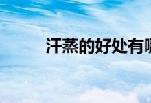 汗蒸的好处有哪些（汗蒸的好处）
