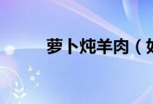 萝卜炖羊肉（如何做萝卜炖羊肉）