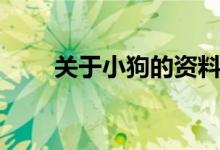关于小狗的资料（有关小狗的资料）